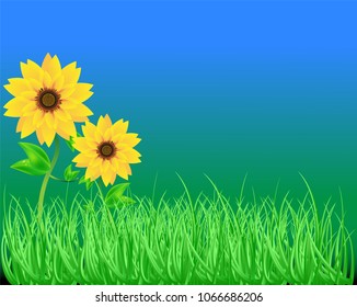 Sunflowers on a Summers Day