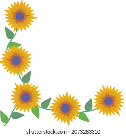 Sunflowers on a white background for decoration of a greeting card, invitation. Frame from abstract yellow flowers with leaves.