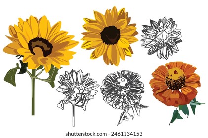 Sunflowers and orange flower with line art flowers