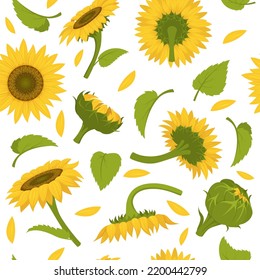 Sunflowers pattern. Colored decorative botanical seamless background for textile design projects swanky vector pictures of yellow decorative sunflowers