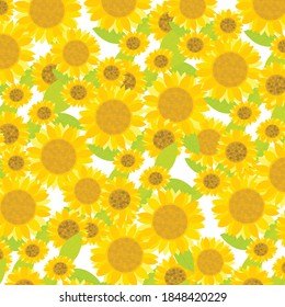 sunflowers pattern design,wallpaper nature flower