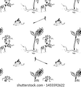 Sunflowers and peas. Seamless pattern. Vector illustration.