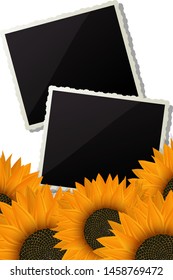 Sunflowers and photo frames decorative background over white background