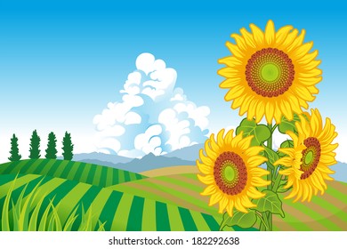 Sunflowers in Rural Scene -EPS10