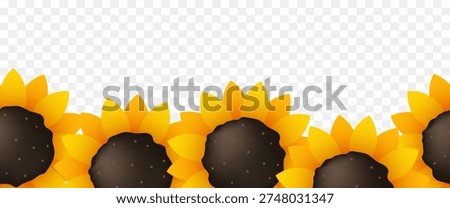 Sunflowers seamless border. Frame of sunflowers. Vector illustration.