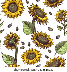 Sunflowers seamless pattern. Beautiful botanical design, floral cute fabric print repeating sunflower artistic blossom abstract decor vector textile texture