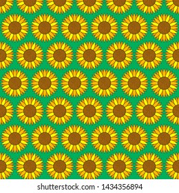 Sunflowers seamless pattern, summer yellow flowers background, print pattern for sunflower oil factory. Vector flat illustration