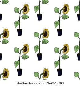 Sunflowers. Seamless pattern. Vector illustration.