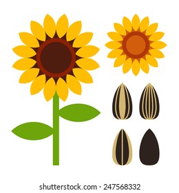 Sunflowers and seeds symbol isolated on white background