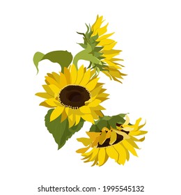 Sunflowers set. Collection decorative floral design elements for wedding invitations and birthday cards, emblems, labels, packaging. Isolated elements. Vector illustration.