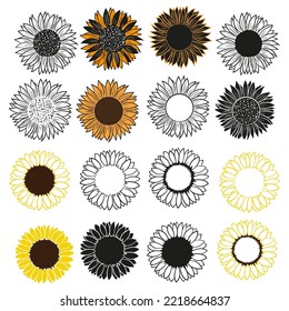 Sunflowers set vector illustration, Simple flowers design silhouette, Botanical floral outline sketch, Garden flowers 