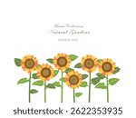 The sunflower's with a strong, straight stem that turns towards the sun.