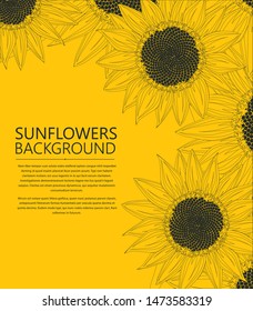 Sunflowers text card, vector illustration
