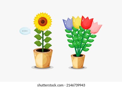 Sunflowers and tulips in pots