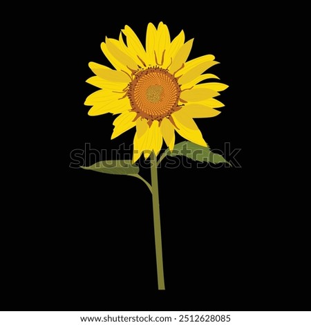 sunflowers, vector drawing flowers, Blooming sunflowers. Sunflowers in full bloom. Vector illustration.