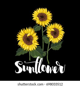 Sunflowers vector hand drawn. Inscription. Vector illustration.