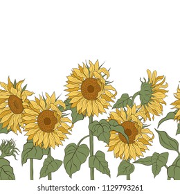 
Sunflowers. Vector horizontal border seamless  pattern. Hand drawn  sunflowers on a white background.