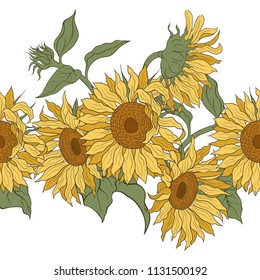 
Sunflowers. Vector horizontal border seamless  pattern. Hand drawn  sunflowers on a white background.