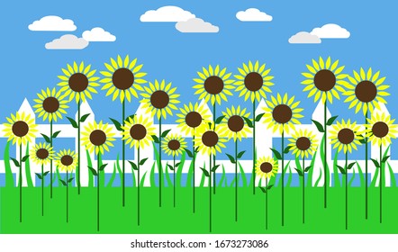 Sunflowers vector icon in green field during sunny day, flat vector for web graphic design