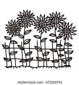 Sunflowers. Vector illustration.