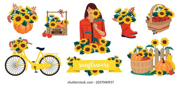 Sunflowers vector set: flowers, bunch, girl, bicycle, pumpkin, basket, fence, ribbon banner. Vector clipart, white background.