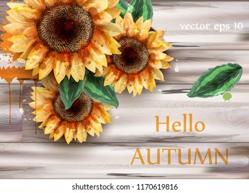 Sunflowers watercolor card Vector. Beautiful floral decor on wooden backgrounds