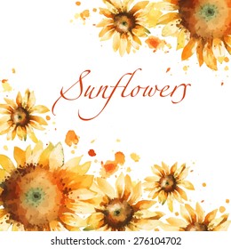 Sunflowers Watercolor Vector Background