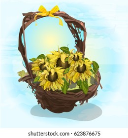 Sunflowers in a wicker basket .Vector illustration