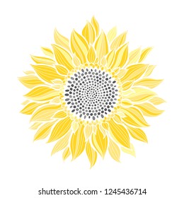 Sunflower.Sketch. Hand draw vector illustration, isolated floral element for design on white background.Silhouette.
