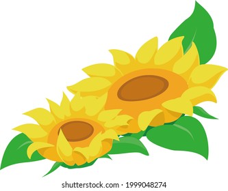 Sonnenblume, Sommer, traditionelles Symbol, Vektorgrafik