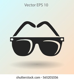 Sunglasses vector illustration