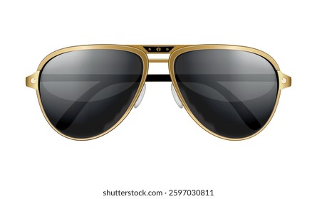 sunglasses Vector illustration sunglasses design element