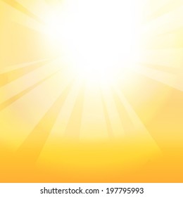 Sunlight Background for your text. Vector.