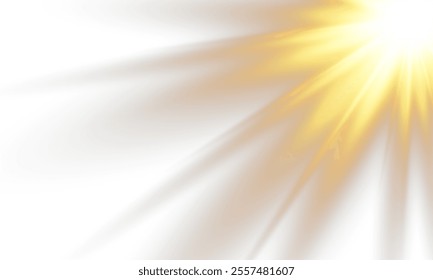 Sunlight with glare effect on transparent background. Superimposition of light, sun rays, transition, light, lens, glare in PNG format. PNG sunlight with light glare .