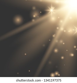 Sunlight lens flare light effect. Sun rays with beams isolated on transparent background. Vector illustration EPS10.