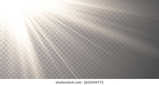 Sunlight Rays with Soft Glow on Transparent Background for Nature, Sky, Morning, and Spiritual Designs. Perfect for Backdrops, Posters, and Web Banners. High-Quality Vector Illustration.