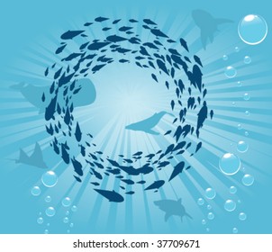 Sunlight refracting down on a large school of fish with bubbles rising to the surface. Sharks, whales, and stingrays make up part of the background