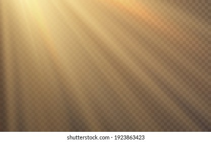 Sunlight special lens flash light effect on transparent background. Effect of blurring light. Vector Illustration.