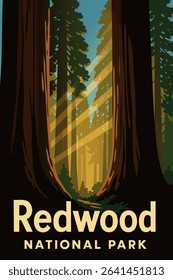 Sunlight streams through the towering redwoods in Redwood National Park, highlighting the massive trees that reach toward the sky. 