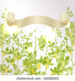 The sunlight through the branches of plants. Natural background with space for text