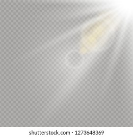 Sunlight a translucent special design of the light effect. Vector blur in the light of radiance. Isolated sunlight transparent background. Element of decor. Horizontal rays of light.