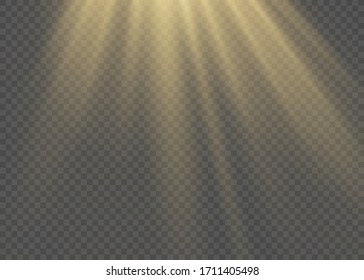 Sunlight a translucent special design of the light effect.Isolated sunlight transparent background. Vector blur in the light of radiance.
