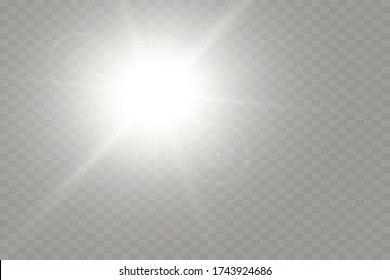 Sunlight a translucent special design of the light effect. Vector blur in the light of radiance. Isolated sunlight transparent background. Element of decor. Horizontal rays of light.