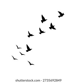 Sunlit birds fly together, forming graceful silhouettes against endless blue horizons during calm daytime skies.