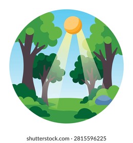 Sunlit forest scene with tall trees, bright sun, and green pathway.