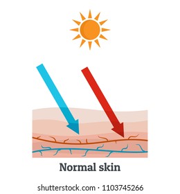 Sunllight normal skin icon. Flat illustration of sunllight normal skin vector icon for web design