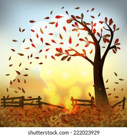 Sunny autumn landscape of trees and fallen leaves. Place for your text. Vector illustration.