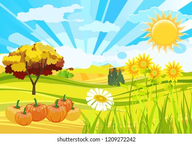 Sunny autumn season natural  funny  background vector illustration, green grass, pumpkins