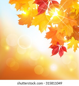 Sunny autumnal background with leaves. Vector illustration.