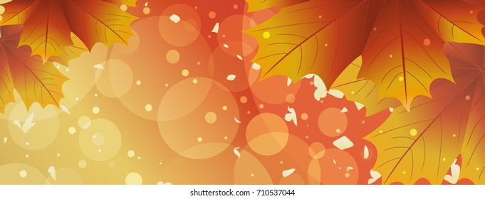 Sunny background with autumn leaves. Vector illustration.
